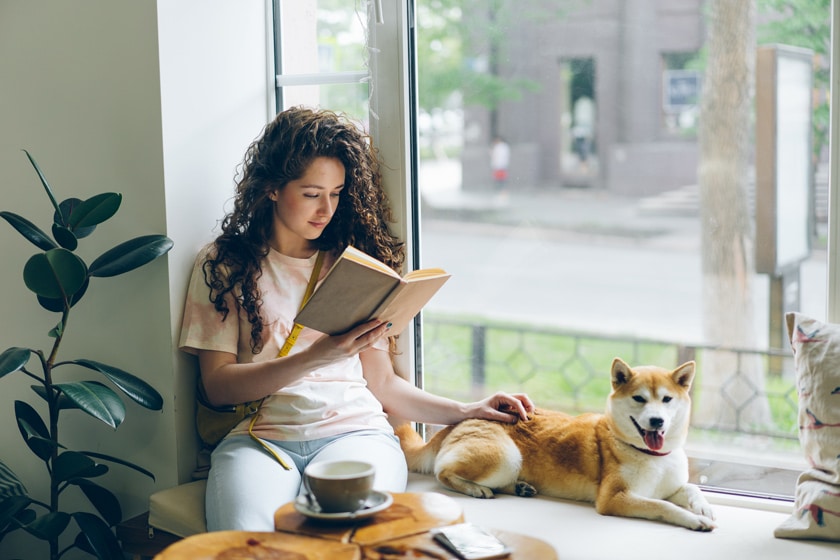 Buchempfehlungen: Literatur rund um den Hund