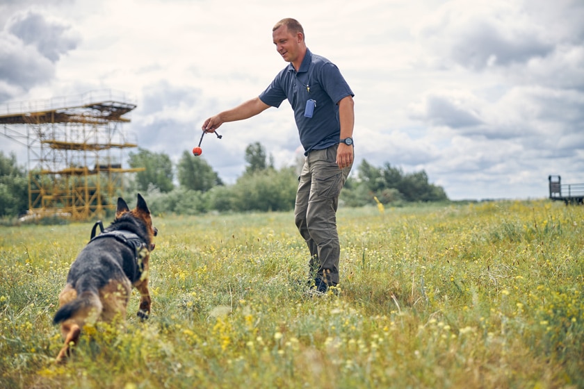 Hundeverbände: Übersicht über Verbände im deutschen Hundewesen
