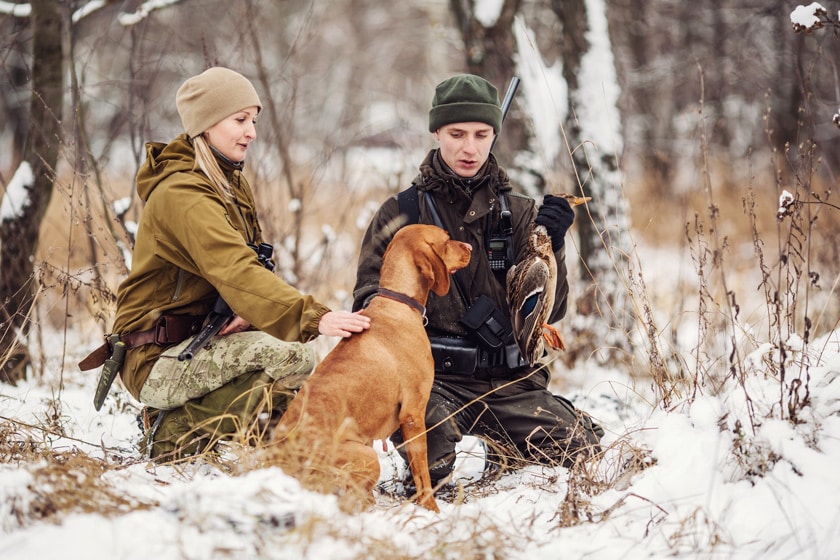 Jagdhunde: Jagdhunderassen für die Jagdhundeausbildung