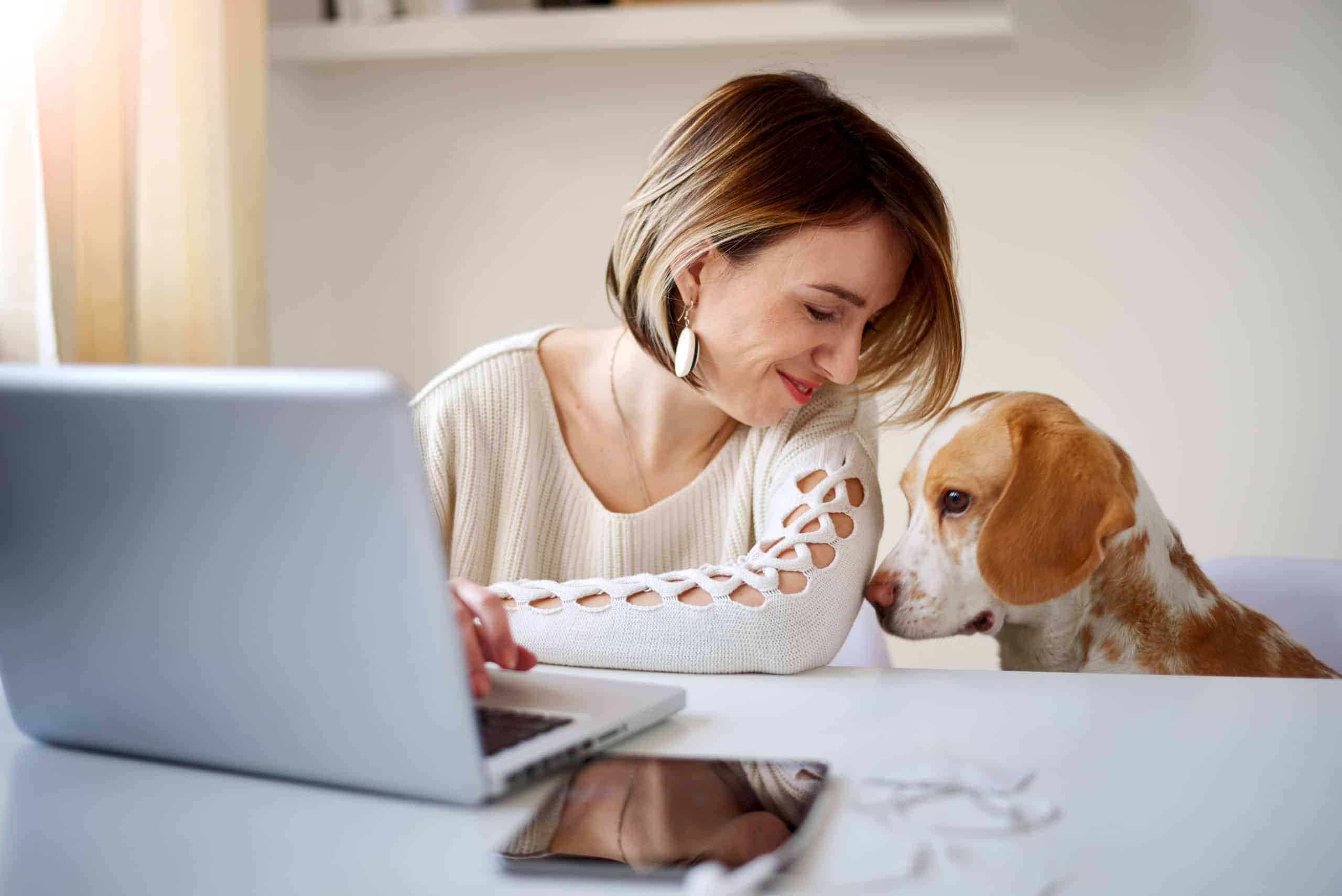 Online-Hundetraining - So klappt die Erziehung beim Hund auch online