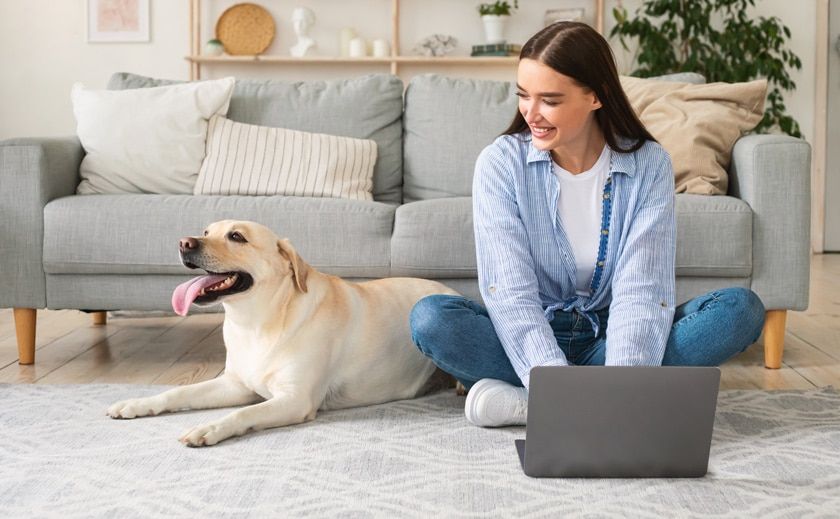 Hundeerziehung in der Online-Hundeschule