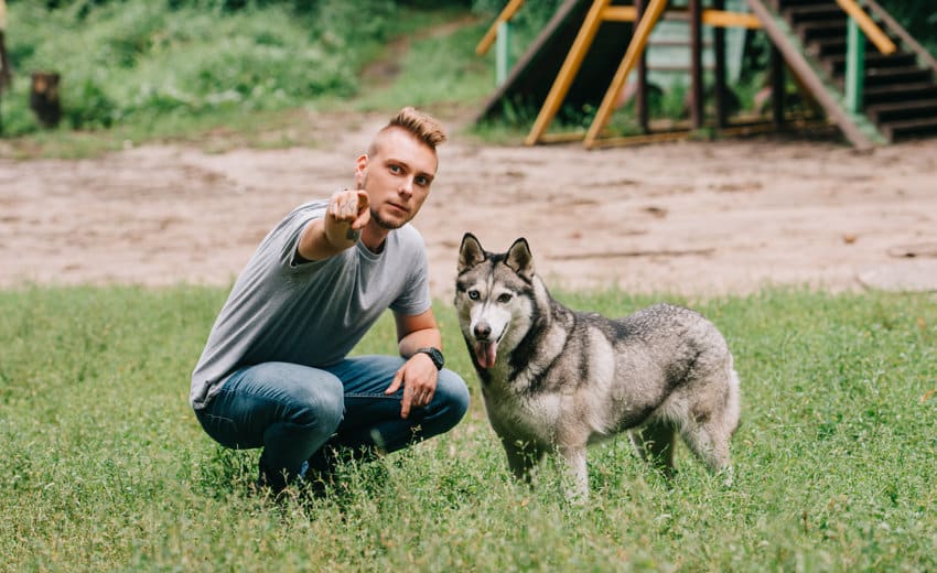 Mobiler Hundetrainer in Alpen